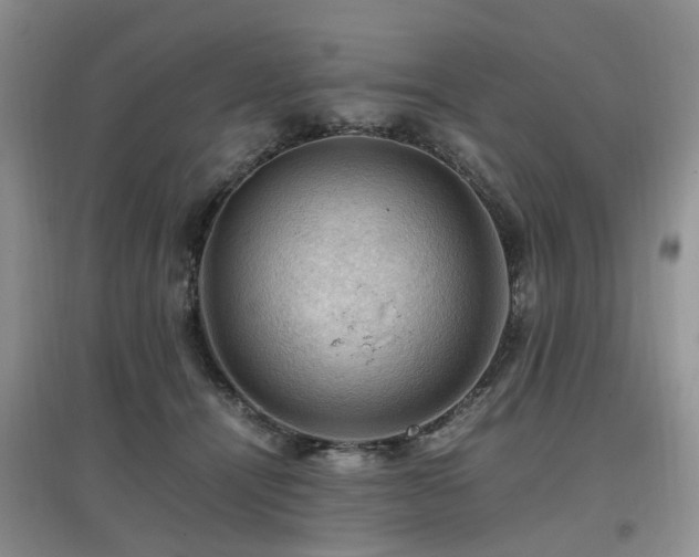 X0000097880464200803141323