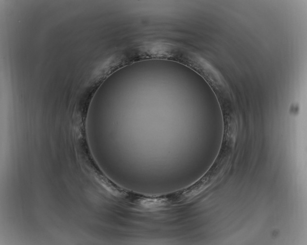 X0000097880465200803141323