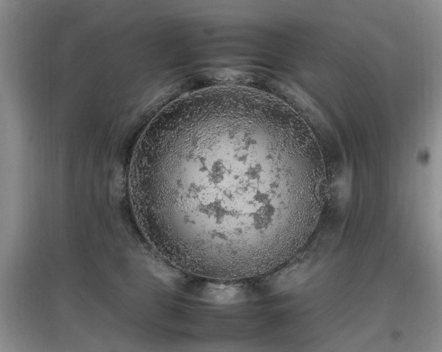 X0000097880469200803141323