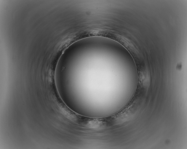 X0000097880470200803141323