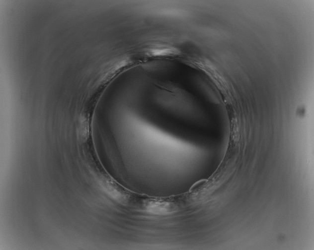 X0000097880471200803141323