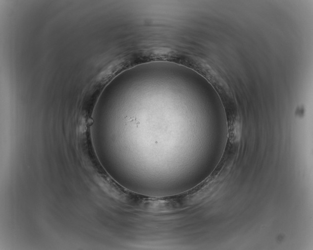 X0000097880472200803141323