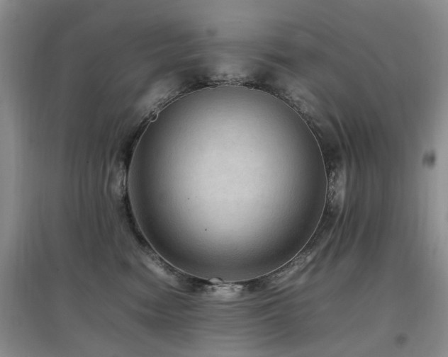 X0000097880474200803141324