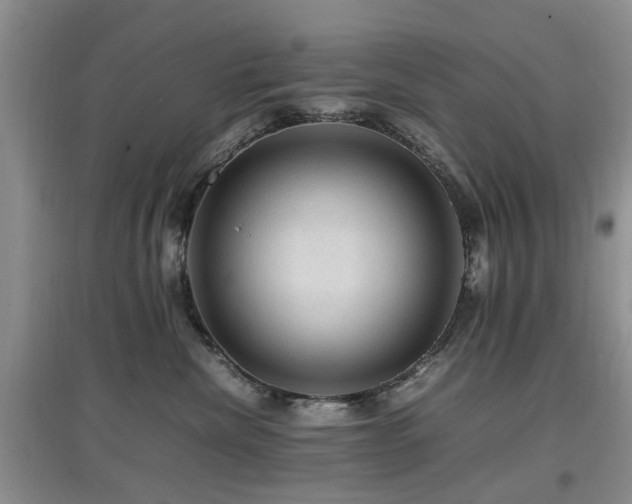 X0000097880476200803141324