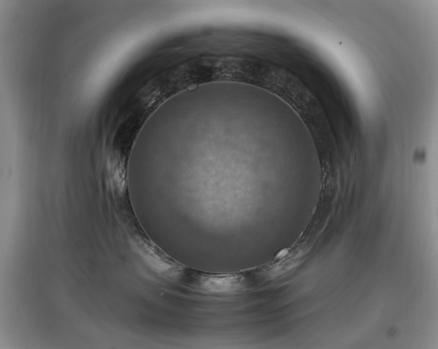 X0000097880479200803141324