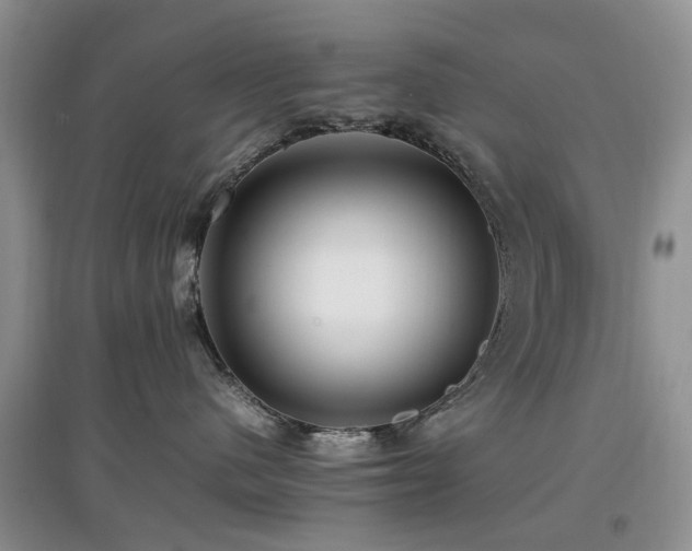 X0000097880480200803141324