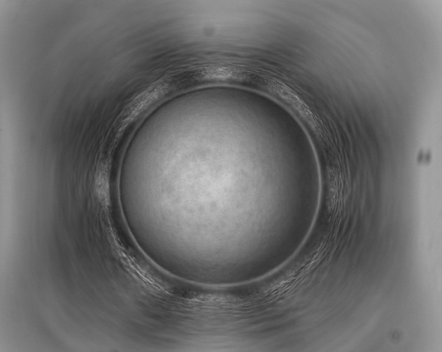 X0000097880482200803141323
