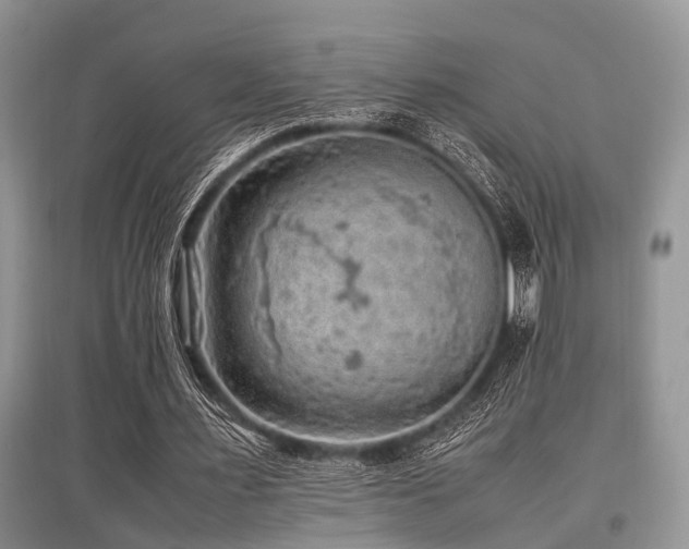 X0000097880483200803141323