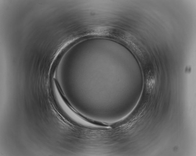X0000097880484200803141323