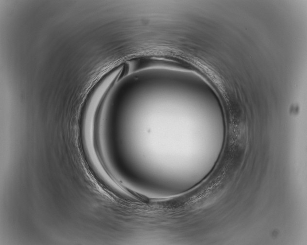 X0000097880485200803141323