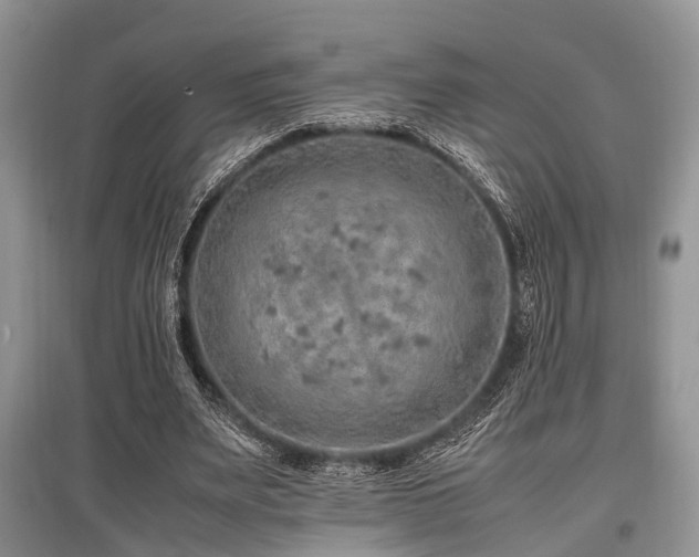 X0000097880487200803141323