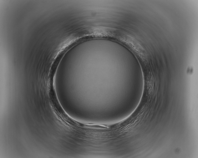 X0000097880488200803141323