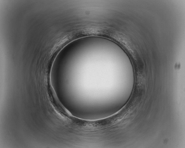 X0000097880489200803141323