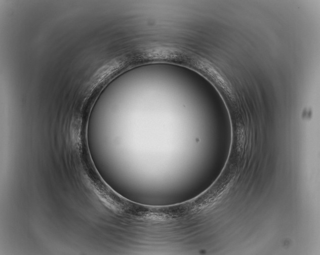 X0000097880490200803141323