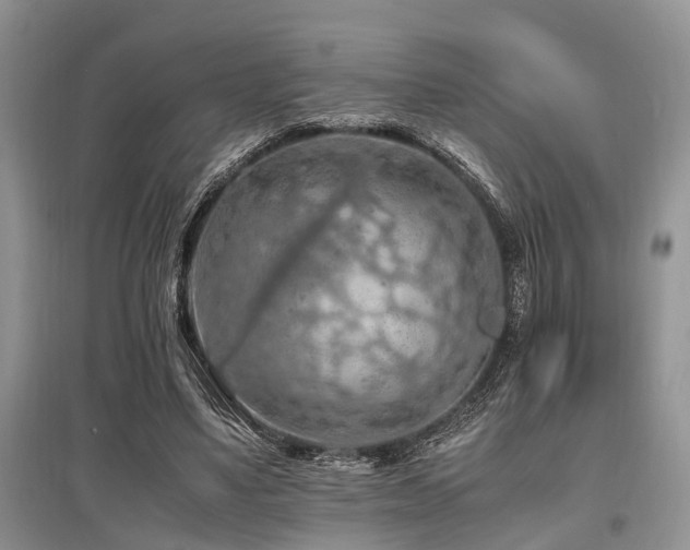X0000097880491200803141323