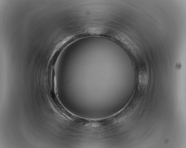 X0000097880492200803141323
