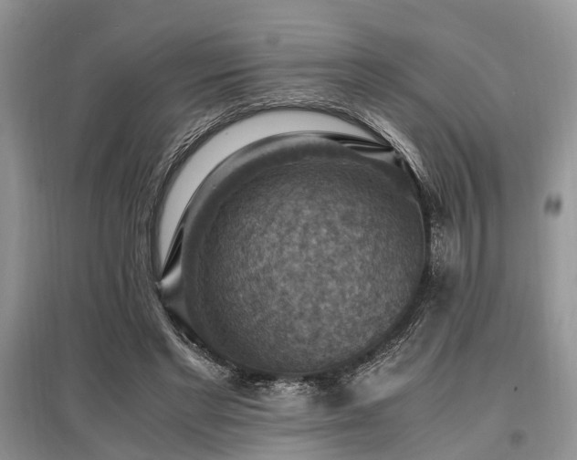 X0000097880493200803141323