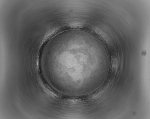 X0000097880494200803141323