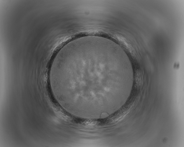 X0000097880495200803141323