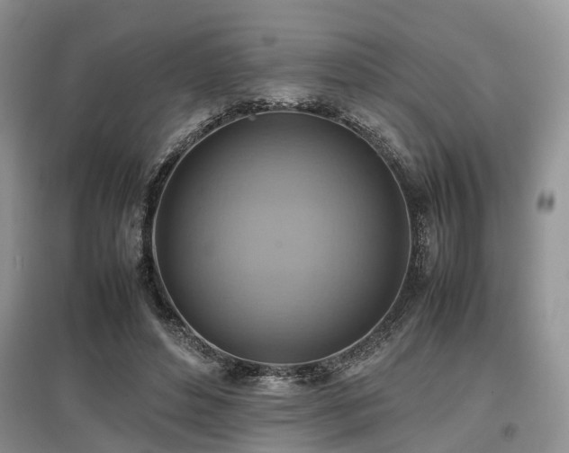 X0000097880496200803141323