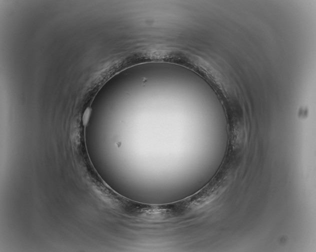 X0000097880497200803141323