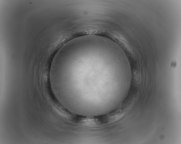 X0000097880499200803141323