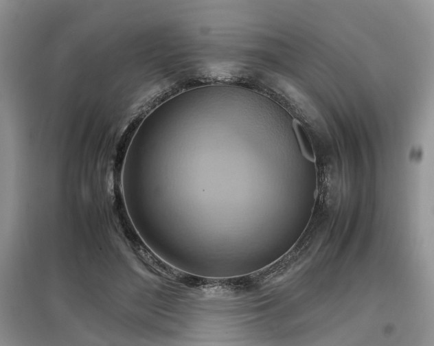 X0000097880500200803141323