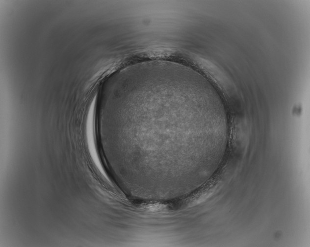 X0000097880501200803141323