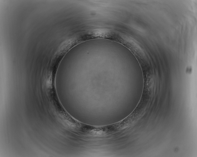 X0000097880502200803141323
