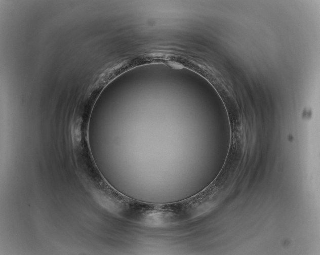 X0000097880504200803141323