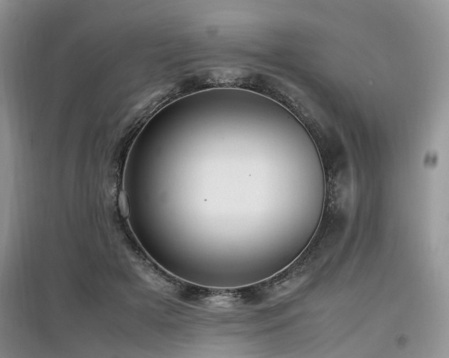 X0000097880505200803141323