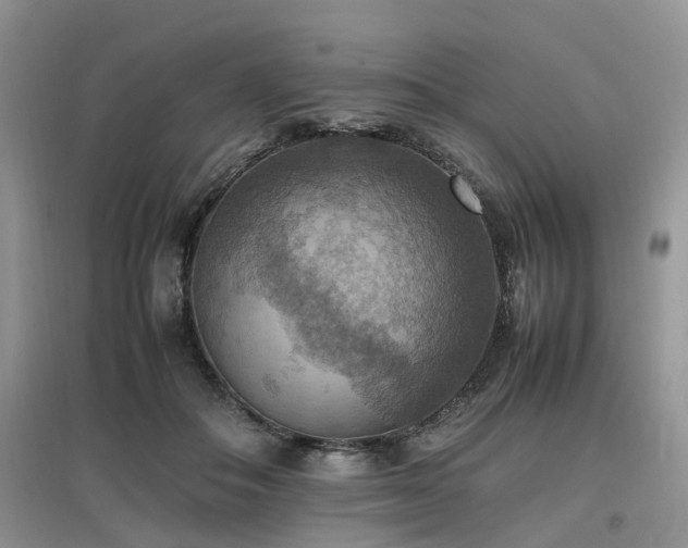X0000097880506200803141323