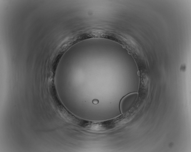 X0000097880507200803141323