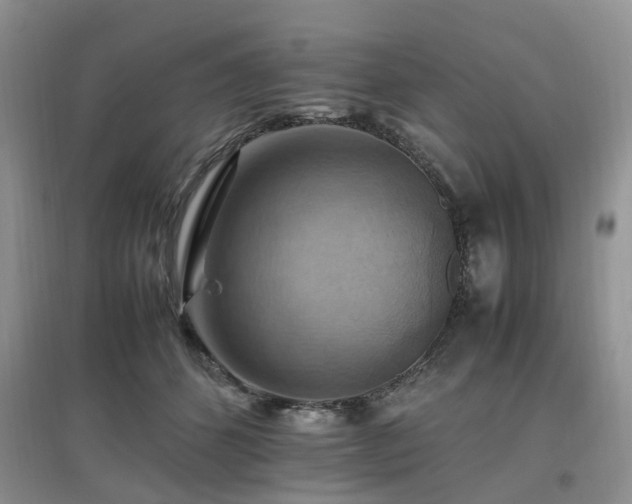 X0000097880512200803141323