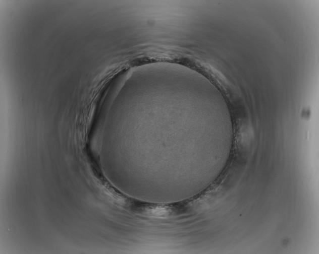 X0000097880513200803141322