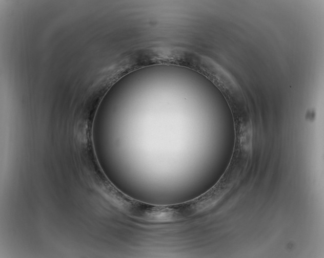 X0000097880514200803141322