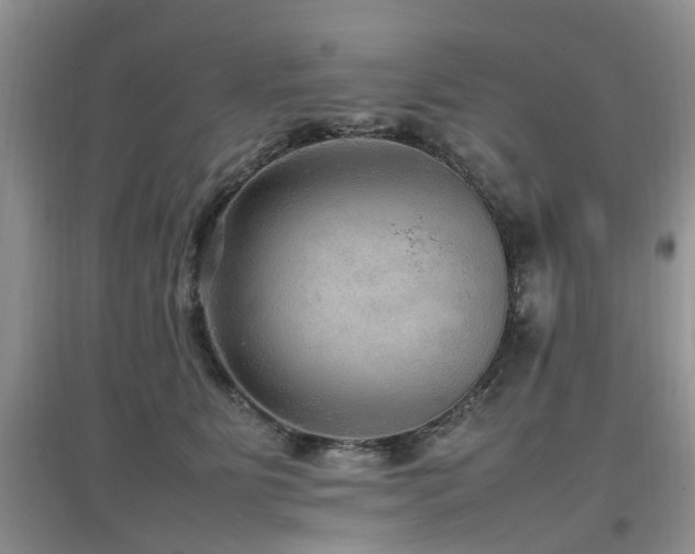 X0000097880515200803141322