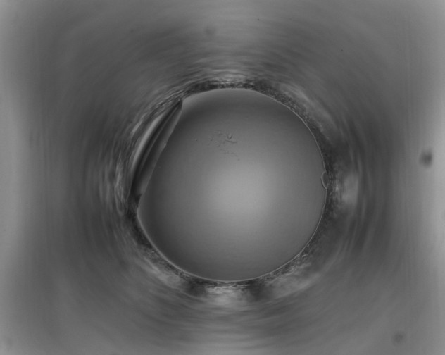 X0000097880516200803141322