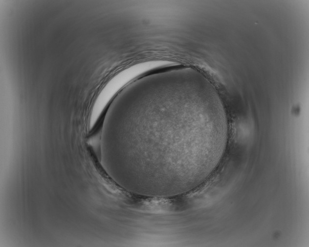 X0000097880517200803141322