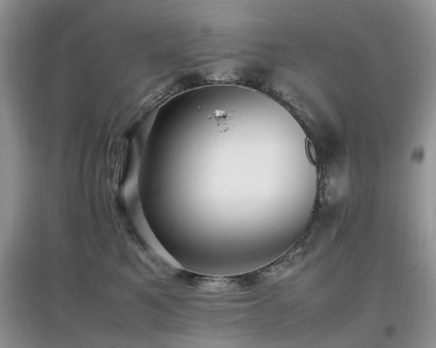 X0000097880521200803141322
