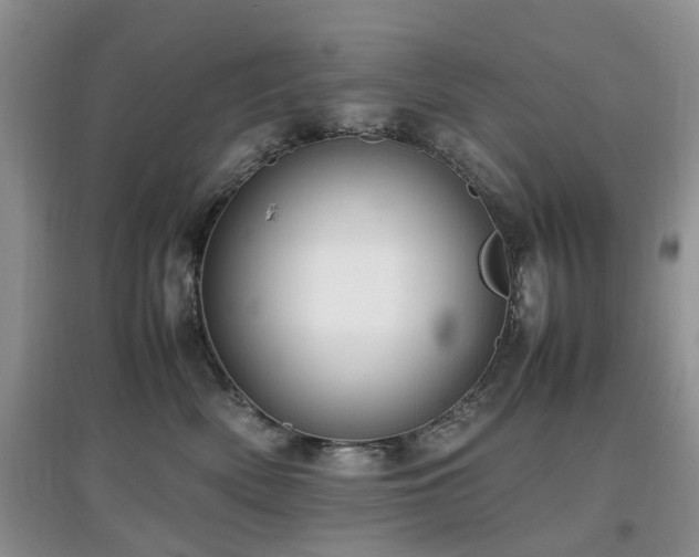 X0000097880522200803141322