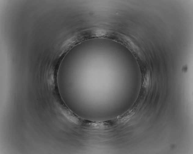 X0000097880524200803141322