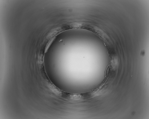 X0000097880525200803141322