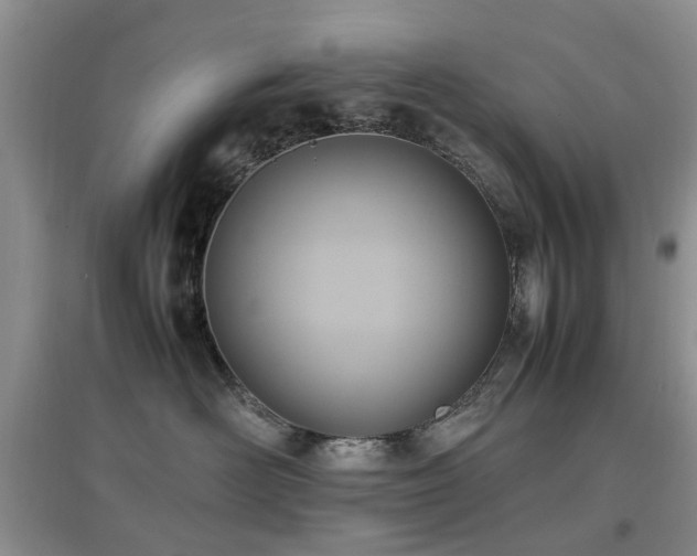 X0000097880526200803141322
