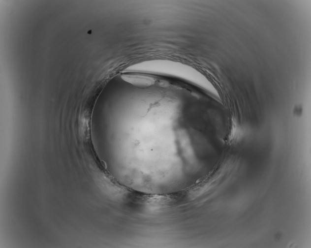 X0000097880527200803141322