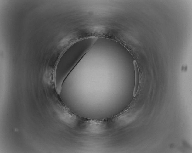 X0000097880528200803141322