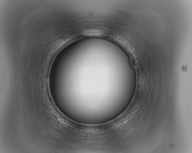 X0000097880529200803141322
