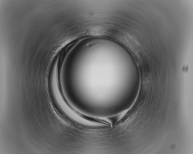 X0000097880530200803141322