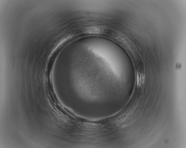 X0000097880531200803141322