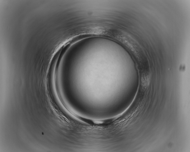 X0000097880532200803141322